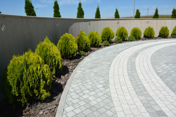 Best Brick Driveway Pavers  in Cape Girardeau, MO